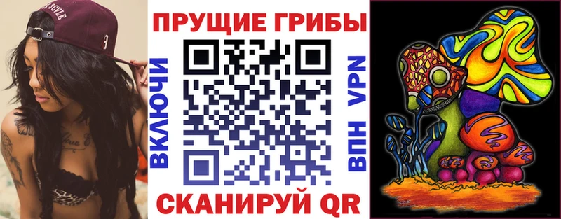 Галлюциногенные грибы Psilocybine cubensis  Соль-Илецк 