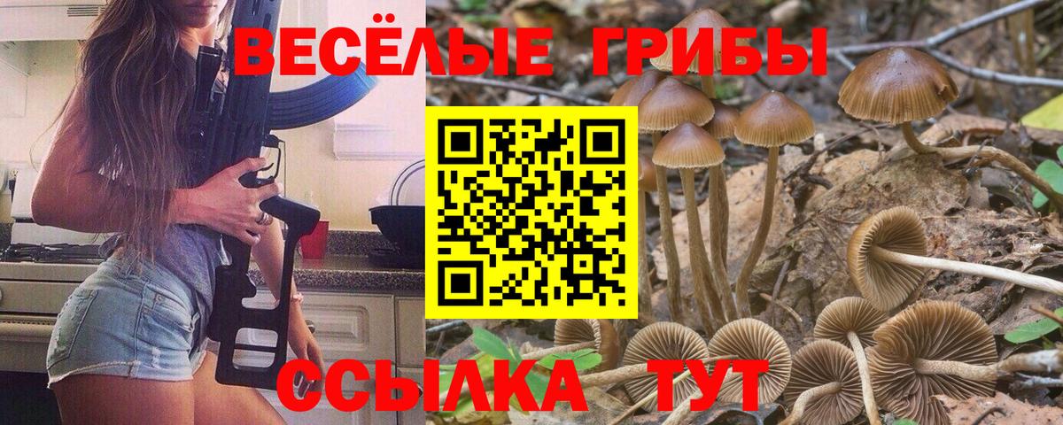 Псилоцибиновые грибы Magic Shrooms  Вход с VPN  Галлюциногенные грибы прущие грибы  Соль-Илецк 